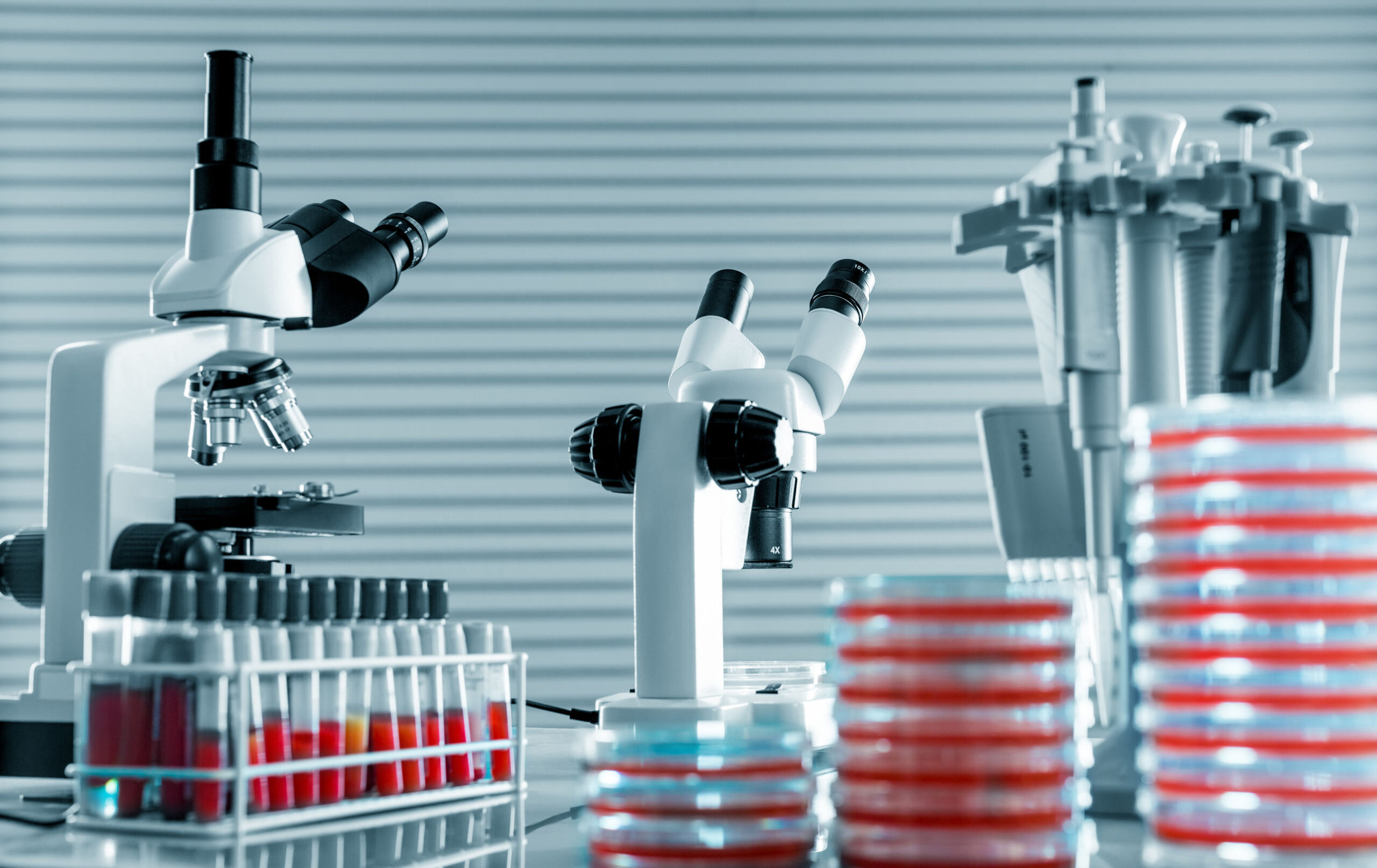 Laboratorio_Istitito Madre Rubatto