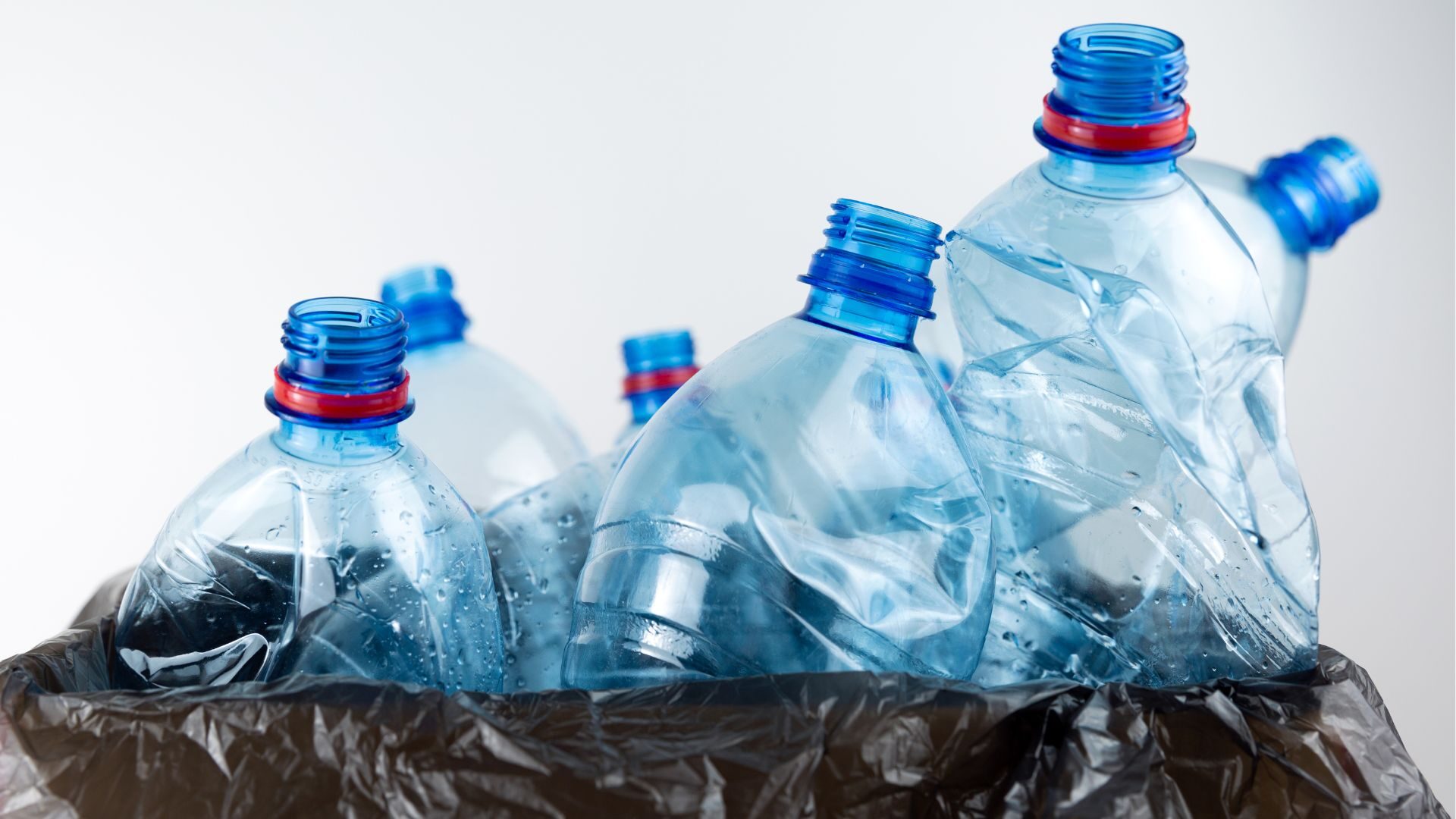 Sostenibilità San Francesco_Istituto Madre Rubatto