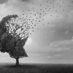 Ripartono gli incontri di gruppo di AIMFT e Casa di Cura San Francesco